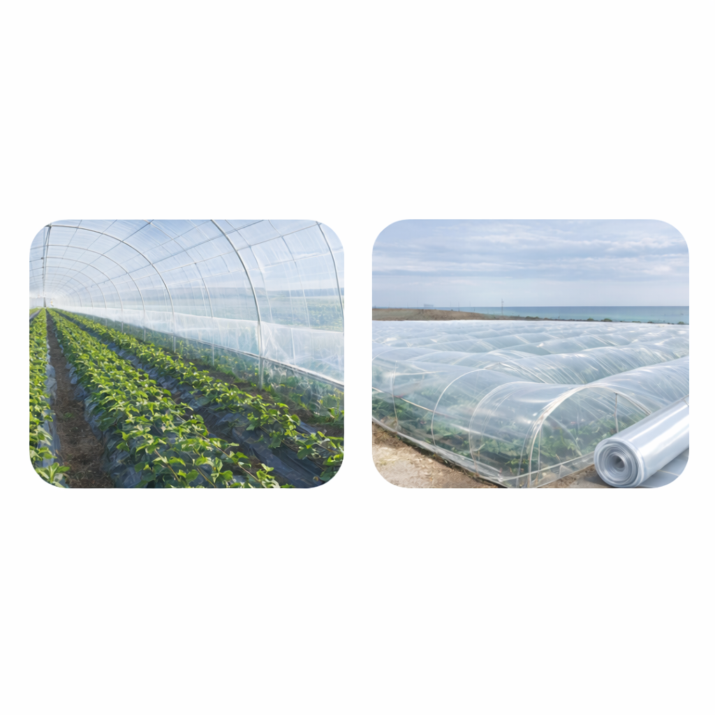 Greenhouse Films